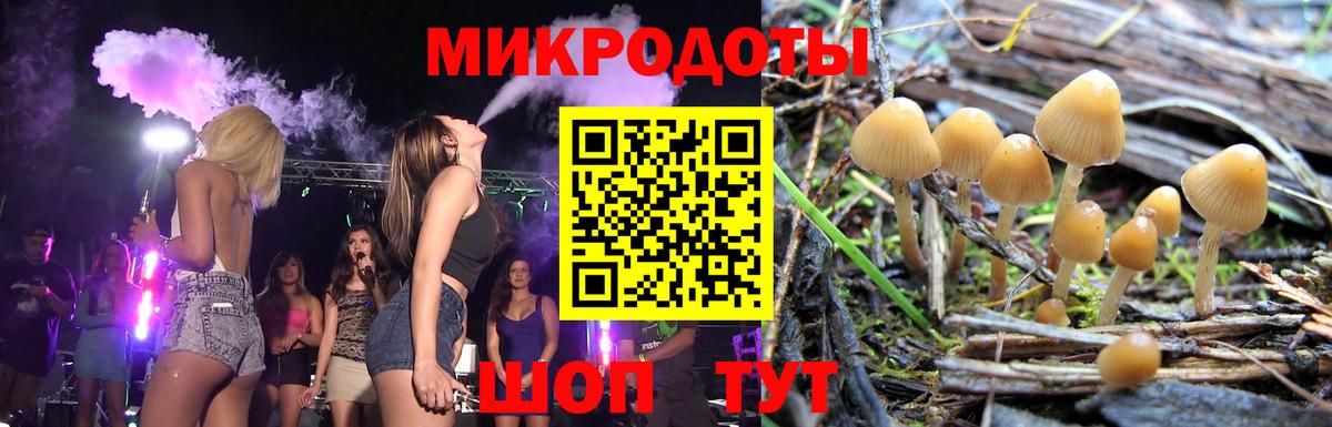 Ноябрьск  Псилоцибиновые грибы мицелий  Вход с VPN 
