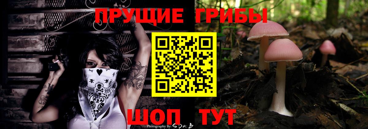 Псилоцибиновые грибы Psilocybe Ноябрьск